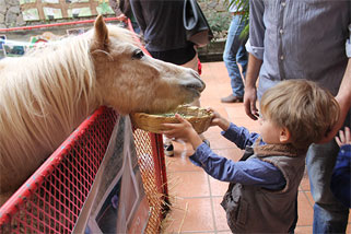 img-colegio_06